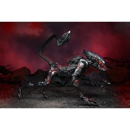 ネカ エイリアン 7インチ アクションフィギュア ケナー トリビュート シリーズ ナイトクーガー エイリアン/NECA 2022 Alien 7inch Action Figure KENNER TRI_5