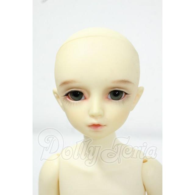 MSD/F-20ヘッド：フルチョイス //SuperDollfie スーパードルフィー// Y