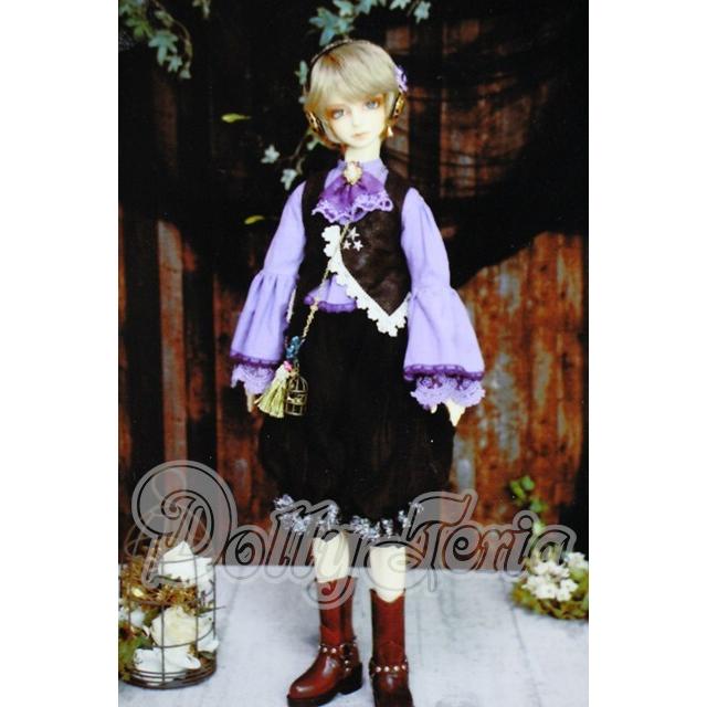 ☆ドール用 ケース【鳥籠Ver.】アクリルケース、DD、ドルフィー、1/3
