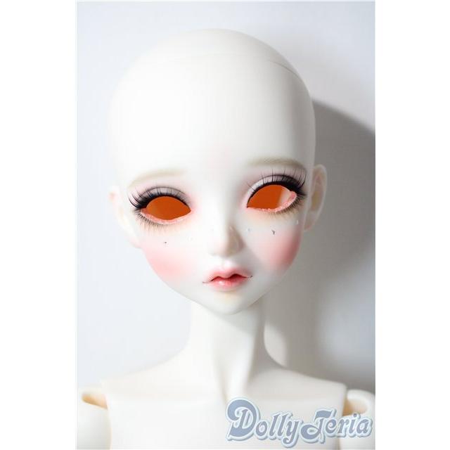 DOLK×Peak