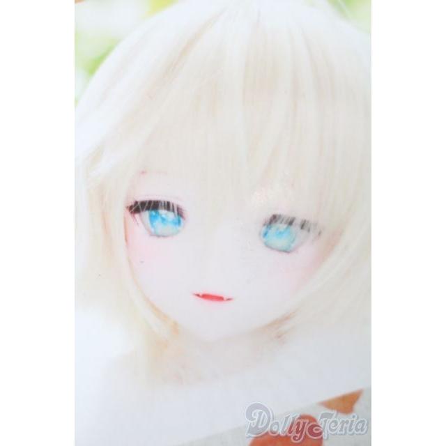 DD/DDH-09カスタムヘッド(きっこりぃ様製) S-25-12-21-353-TO-ZS