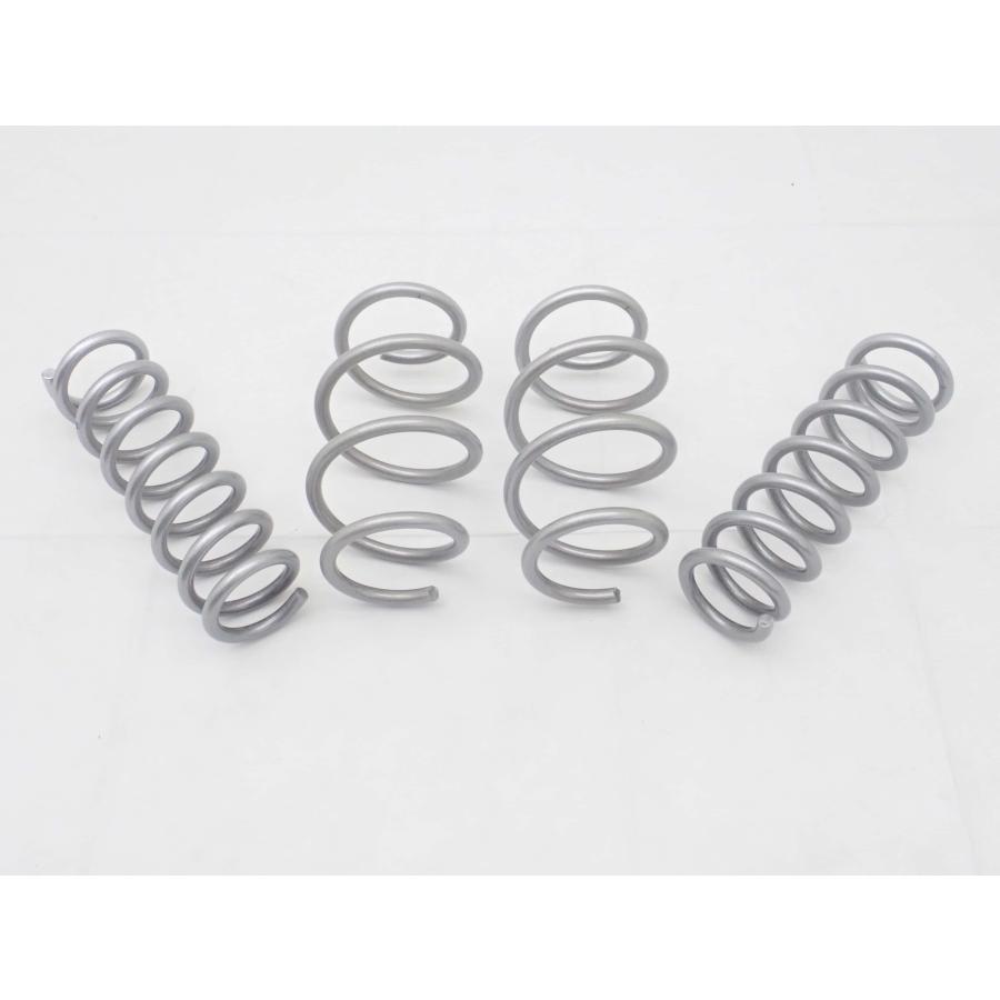 デリカD:5用 1.5インチリフトアップスプリング 1台分　GI GEAR製 三菱（MITSUBISHI） 【GI☆GEAR(ジーアイギア)社製】1.5インチリフト