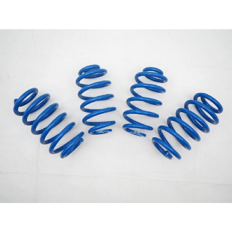 Audi（アウディ） [MARVIN 社製]ローダウンサスペンション コイル