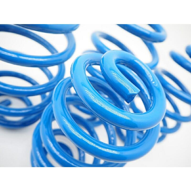 Audi（アウディ） [MARVIN 社製]ローダウンサスペンション コイル