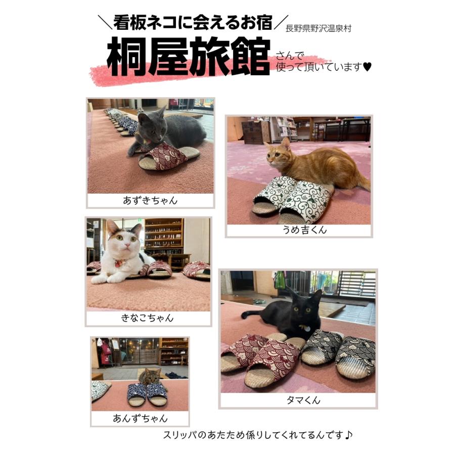 父の日 2026 スリッパ 猫柄 夏用 PP畳 かわいい 室内 前あき レディース メンズ 日本製 ギフト ルームスリッパ | Dolphin | 23