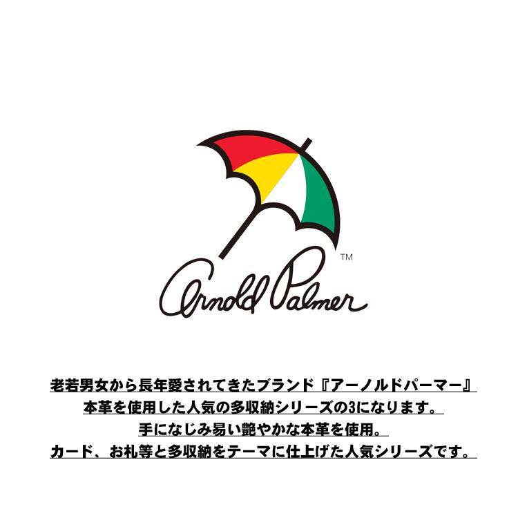 アーノルドバーマー【ARNOLD PALMER】多機能多収納 中べら付札入れ　大容量　4AP3303 ブラック　ブラウン｜domani-s｜02