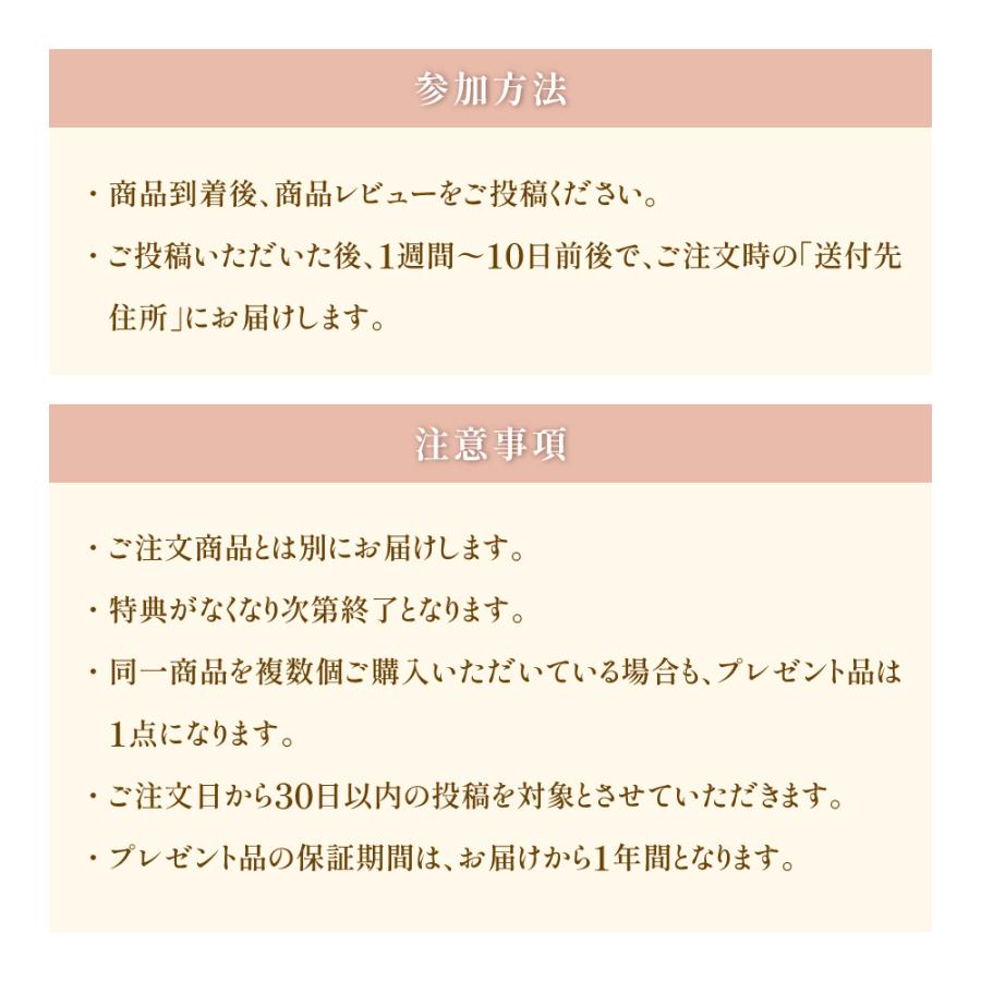 電子レンジ調理鍋＼角型鍋／調理器具 焼く 煮る 炒める 茹でる 焼き魚 魚焼 肉 野菜 レンジクッキング（SA038）【1年保証】【レシピ付】｜domo-elektro｜12