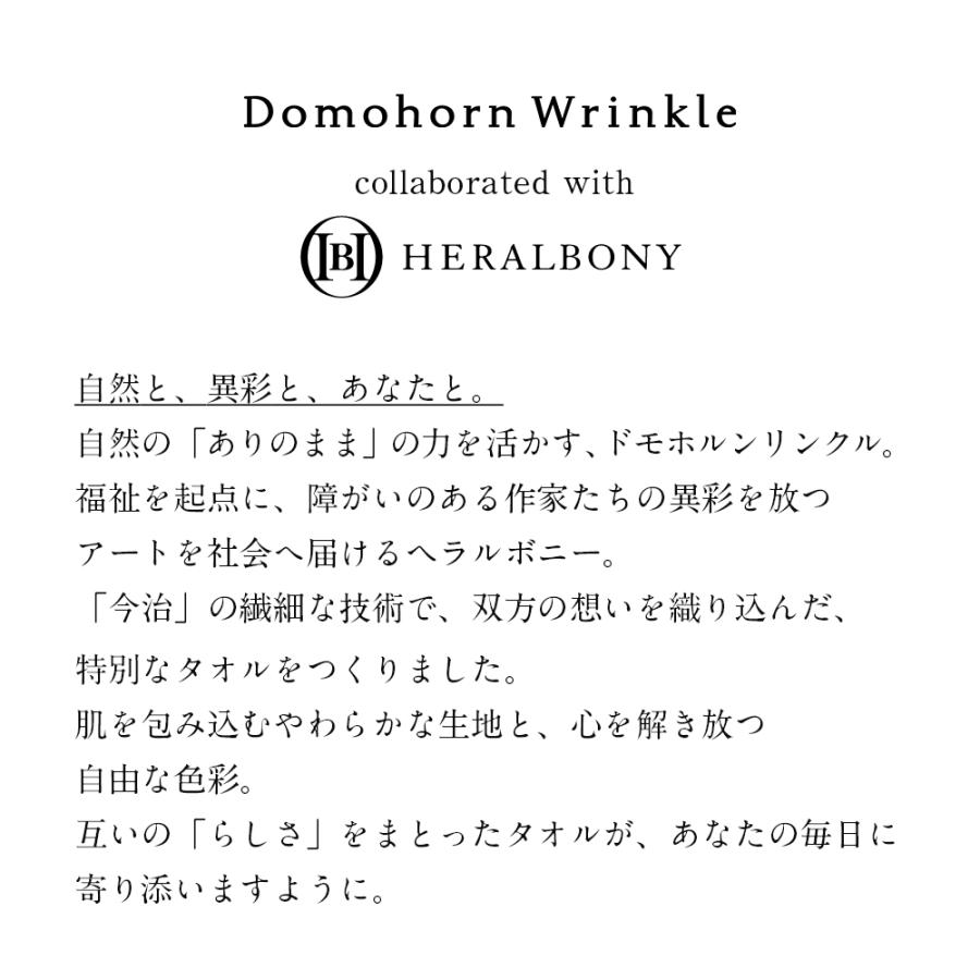 DomohornWrinkle基本4点ハーフセット＋ヘラルボニーコラボハンカチ1枚