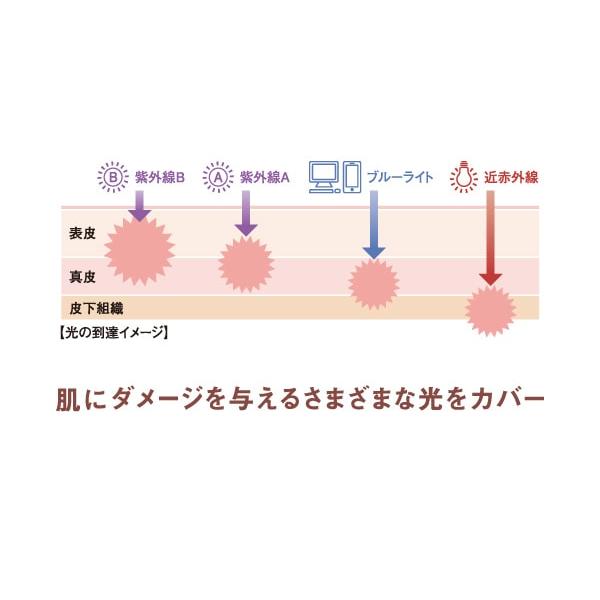 公式 ドモホルンリンクル 光対策ドレスクリーム 25g　約75日分 SPF50+ PA++++ コントロールカラー UV 再春館製薬所｜domohornwrinkle｜05