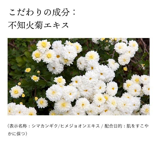 ドモホルンリンクル（Domohorn Wrinkle） 爆買｜公式 光対策ドレス
