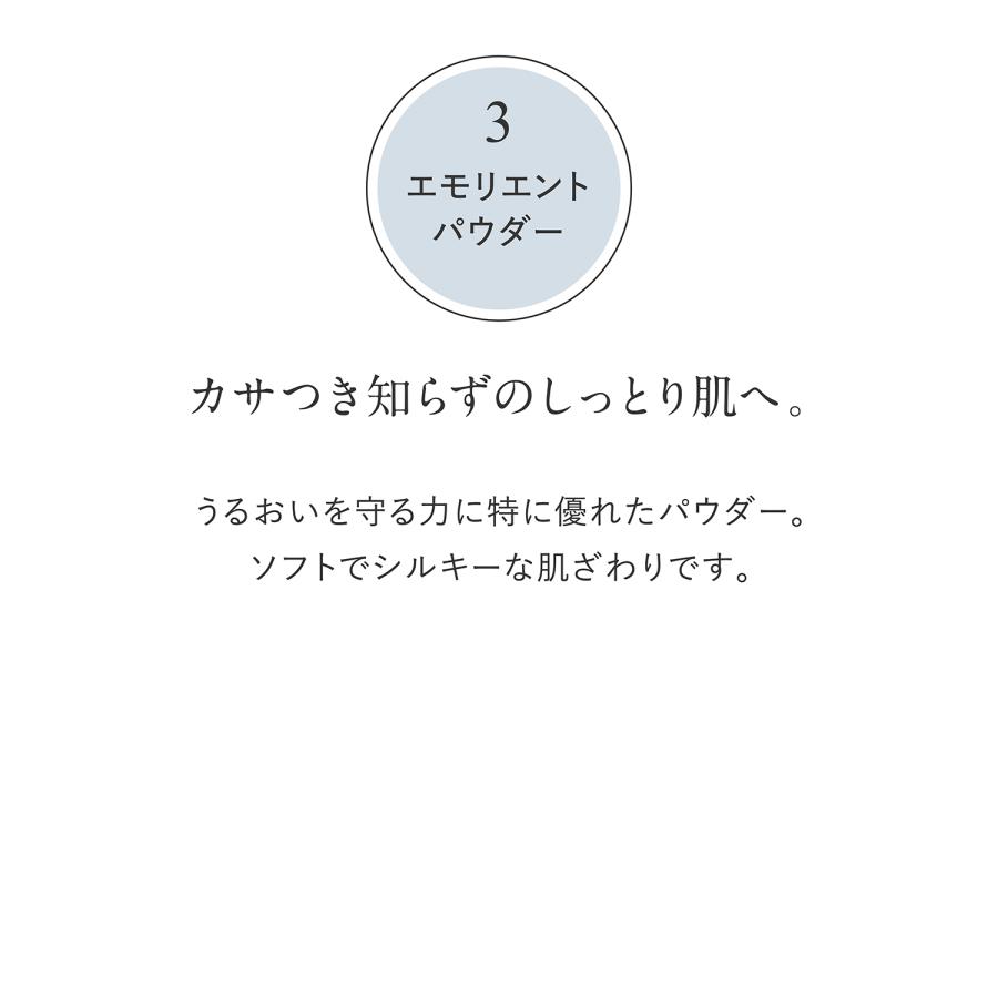 公式 ドモホルンリンクル うるつやベースメイクセット 光対策ドレス