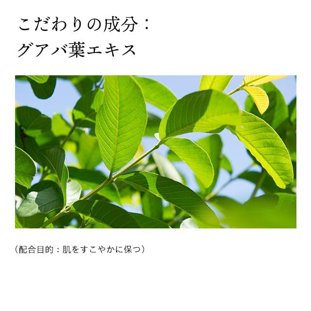 ドモホルンリンクル　泡パック　新品・未開封　80g 約45回分 ドモホルンリンクル 公式 泡の柔肌パック 80g 約45回分 再春館