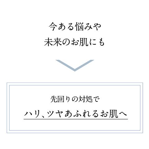 公式 ドモホルンリンクル 基本4点ハーフセット 約1か月分 スキンケア 再春館製薬所｜domohornwrinkle｜09