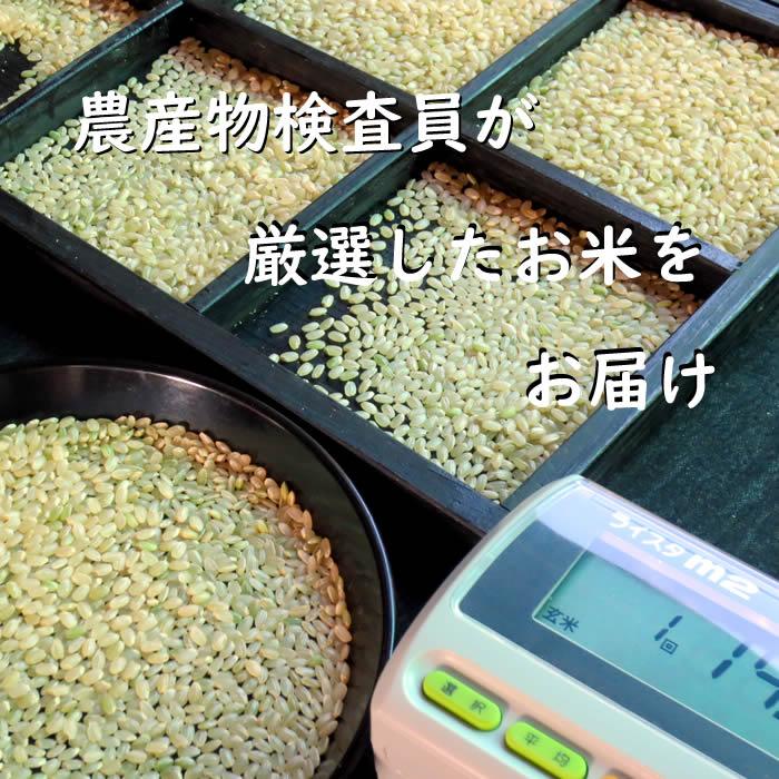 業務用米 40kg 国内産精米 お米 10kg×4袋 定食用 丼用 送料無料 但し