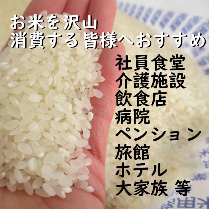 業務用米 60kg 国内産精米 お米 10kg×6袋 定食用 丼用 送料無料 但し