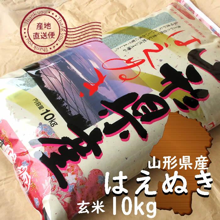 はえぬき お米 10kg 玄米 山形県 10kg×1袋 6年度産 : 庄内米産直 はえぬき お米 10kg 玄米 山形県 10kg×1袋 6年度産 : 庄内米産直