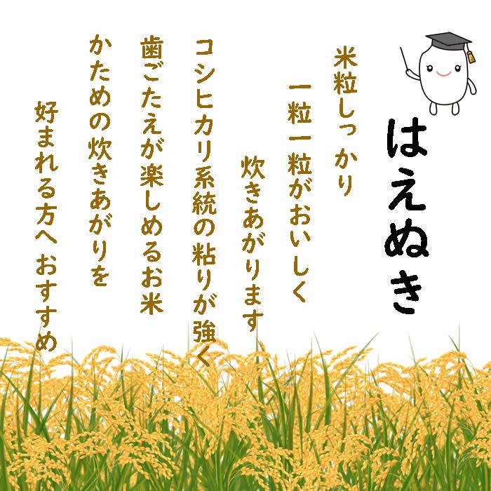 はえぬき お米 10kg 玄米 山形県 10kg×1袋 6年度産 : 庄内米産直 はえぬき お米 10kg 玄米 山形県 10kg×1袋 6年度産 : 庄内米産直