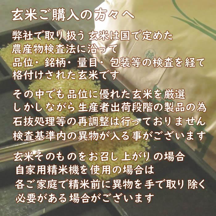 はえぬき お米 10kg 玄米 山形県 10kg×1袋 7年度産 新米 : 庄内