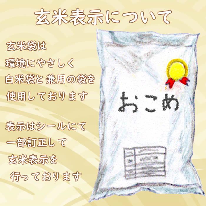 山形県産はえぬき 「玄米」10㎏(令和6年産): 小さな