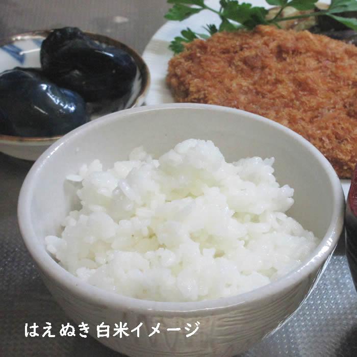 はえぬき お米 10kg 白米 山形県 10kg×1袋 7年度 : 庄内米産直店 土門