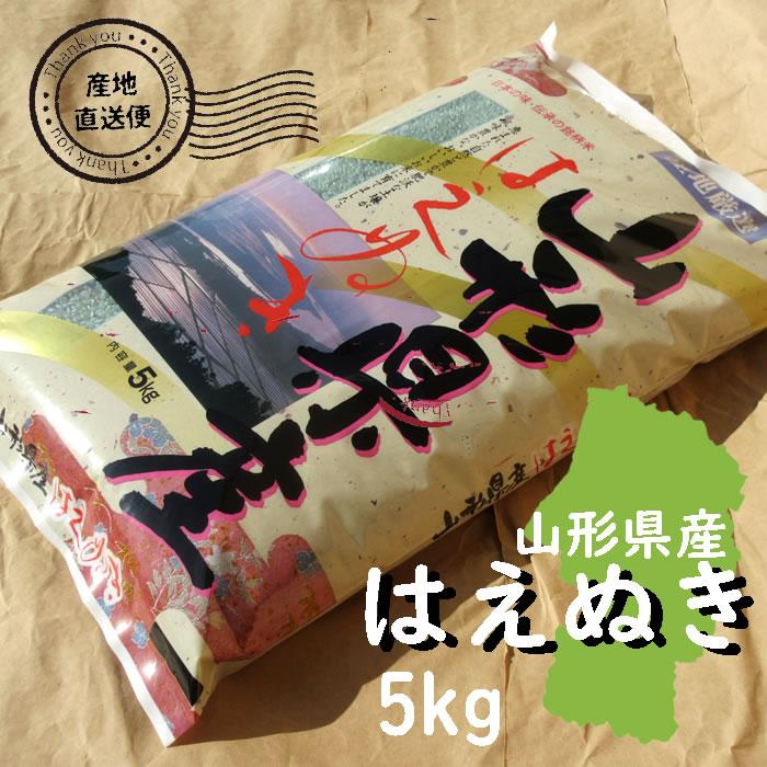 はえぬき お米 5kg 白米 山形県 5kg×1袋 7年度 : 庄内米産直店 土門