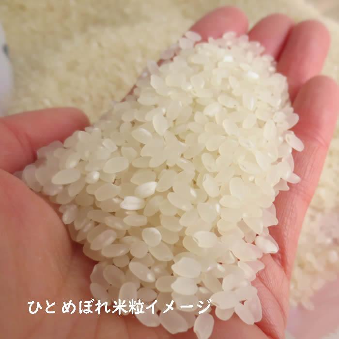 ひとめぼれ お米 10kg 白米 山形県 10kg×1袋 7年度産 : 庄内米産直店