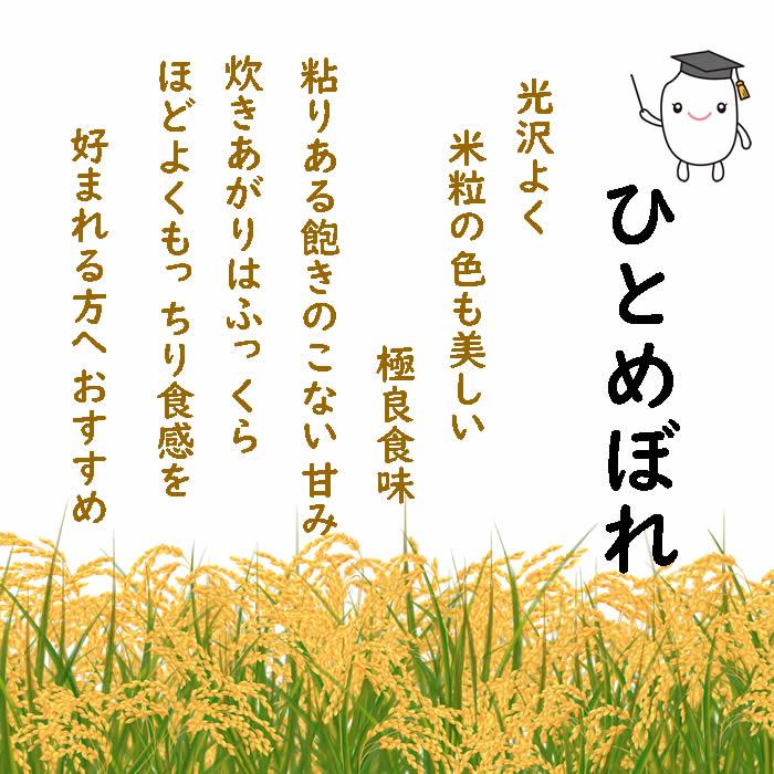 ひとめぼれ お米 10kg 白米 山形県 10kg×1袋 7年度産 : 庄内米産直店