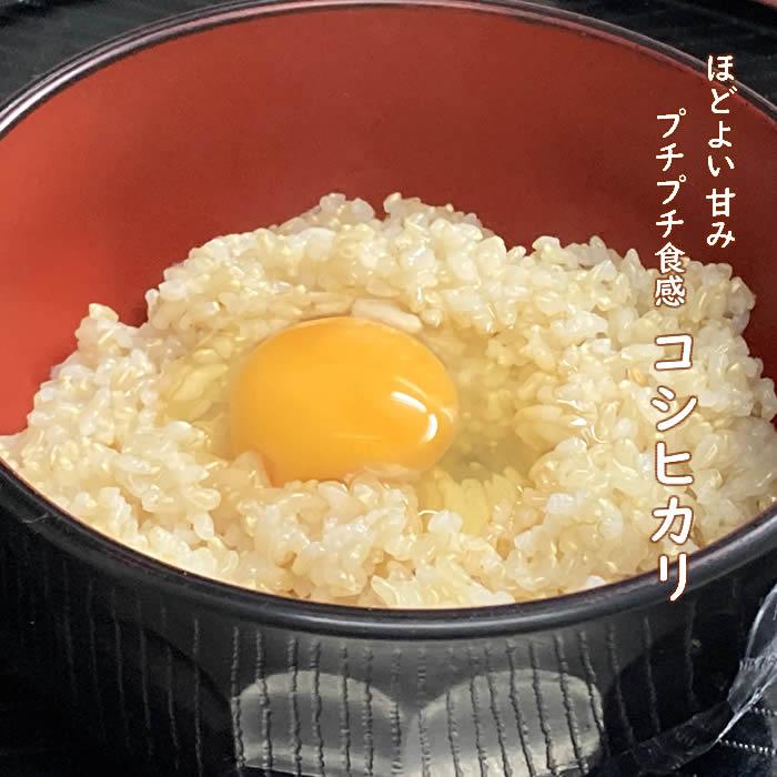 コシヒカリ お米 10kg 玄米 山形県 10kg×1袋 7年度産 : 庄内米産直店