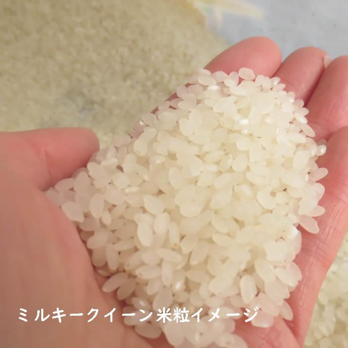 ミルキークイーン お米 10kg 白米 山形県 10kg×1袋 6年度産 ミルキークイーン お米 10kg 白米 山形県 10kg×1袋 6年度産