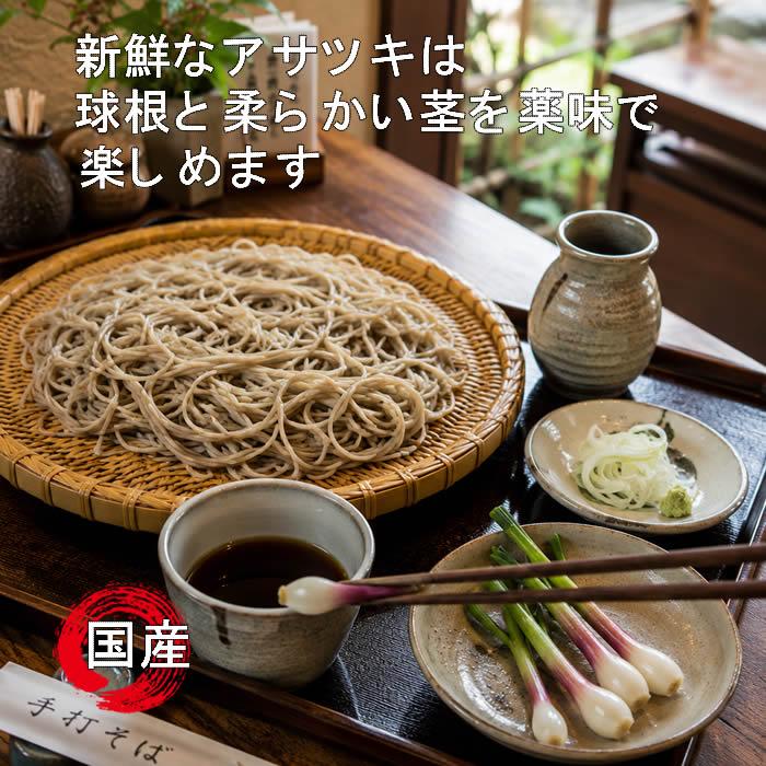 ネギ アサツキ 球根 葱 浅葱 あさつき 種球 300g 国内産 : 庄内米産直
