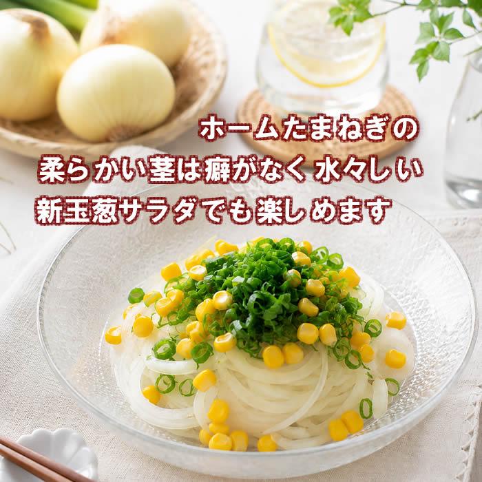 野菜・種/苗 ホームたまねぎ タマネギ 玉葱 球根 300g 国内産 : 庄内米