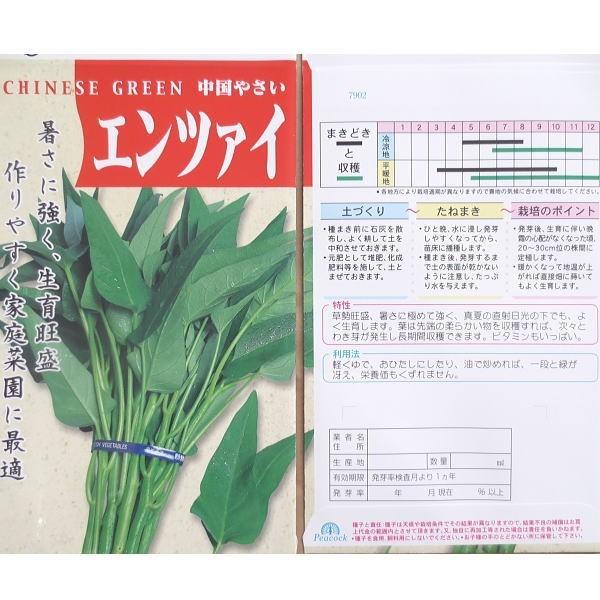 野菜の種 種子 エンツァイ 空芯菜 1袋 3ml Tanehamonoea 庄内米産直店 土門商店yahoo 店 通販 Yahoo ショッピング