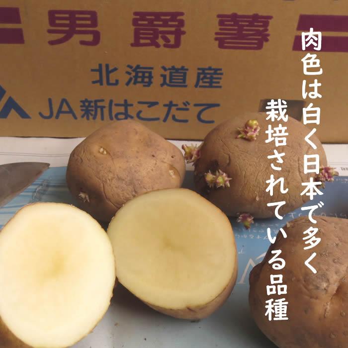 野菜・種/苗 春じゃがいも種芋 男爵 馬鈴薯種芋 1kg : 庄内米産直店