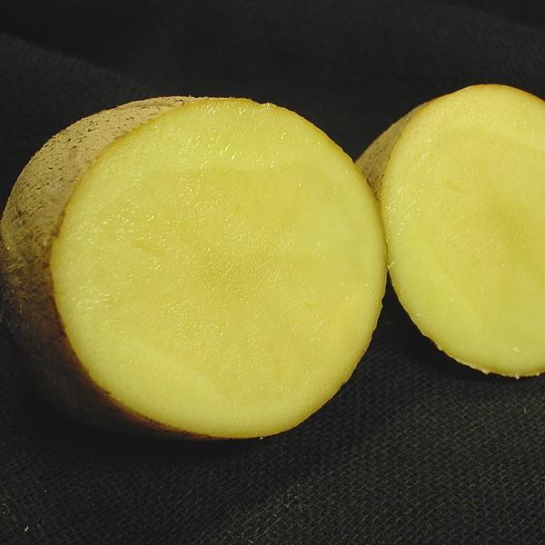 野菜 種 苗 春じゃがいも種芋 メークイン 馬鈴薯種芋 1kg Taneimome Ku 庄内米産直店 土門商店yahoo 店 通販 Yahoo ショッピング