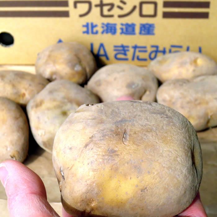 野菜・種/苗 春じゃがいも種芋 ワセシロ 馬鈴薯種芋 1kg : 庄内米産直