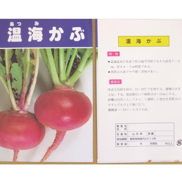 野菜の種 種子 温海かぶ 1袋 3ml Tanekabuaa 庄内米産直店 土門商店yahoo 店 通販 Yahoo ショッピング