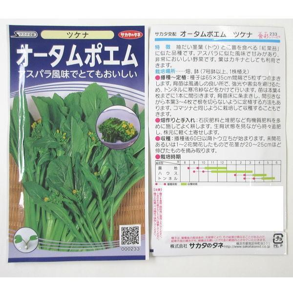 野菜の種 種子 オータムポエム アスパラ菜 サカタ交配 1袋 2ml Taneorinaoa 庄内米産直店 土門商店yahoo 店 通販 Yahoo ショッピング
