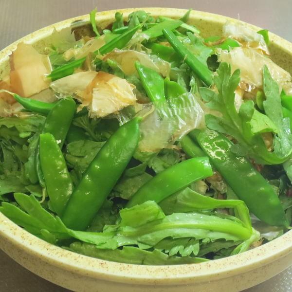野菜の種(新種)×18袋その④ キャベツ 種 【 しずはま2号 】 小袋 約200粒 ( キャベツの種