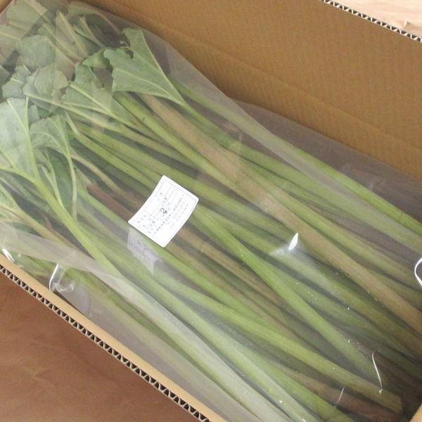 ふき 2kg 山菜 野草 山形県産 /クール便
