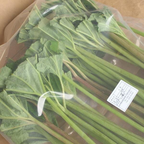ふき 2kg 山菜 野草 山形県産 /クール便の画像