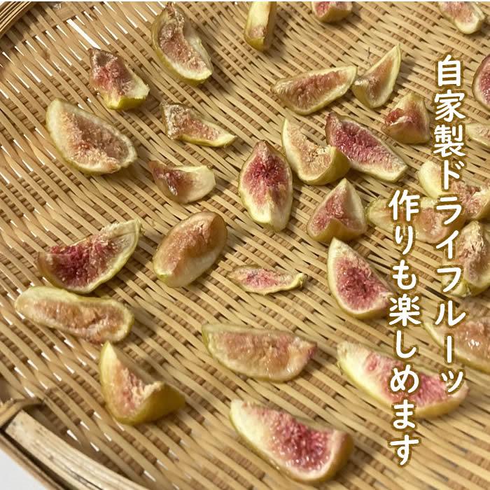 いちじく ホワイトゼノア 加工用 1.2kg 山形県産 /クール便 : 庄内米