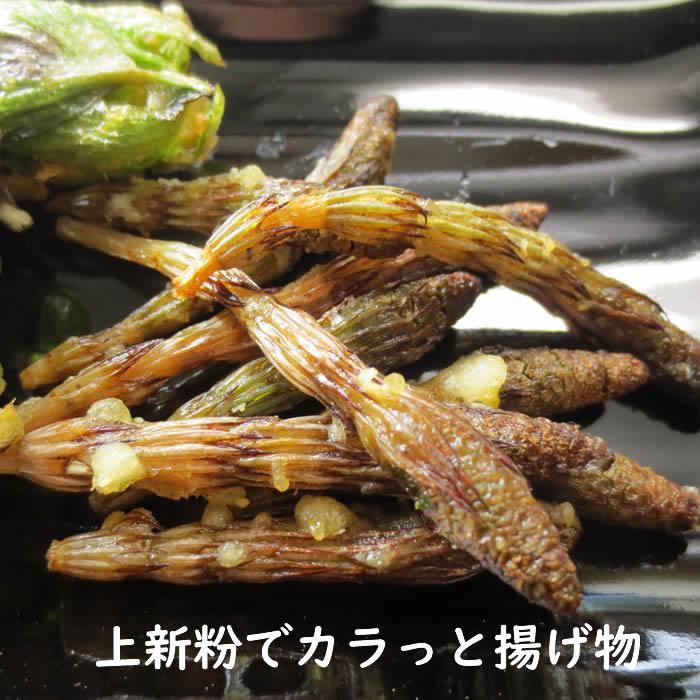 つくし 土筆 180g 山菜 野草 山形県産 /クール便 : 庄内米産直店 土門
