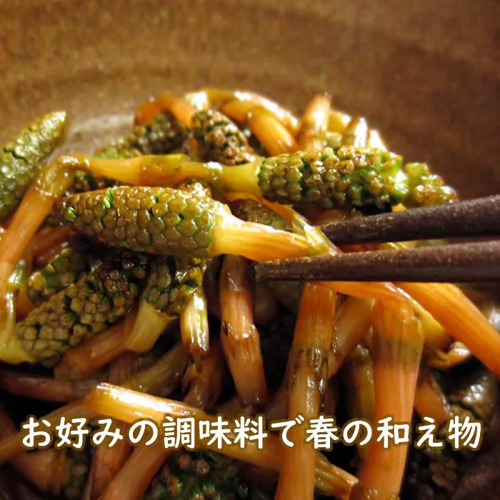 つくし 土筆 180g 山菜 野草 山形県産 /クール便 : 庄内米産直店 つくし 土筆 180g 山菜 野草 山形県産 /クール便 : 庄内米産直店