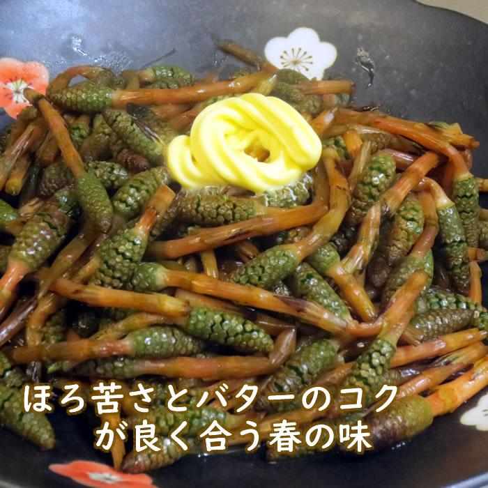 つくし 土筆 180g 山菜 野草 山形県産 /クール便 : 庄内米産直店 土門