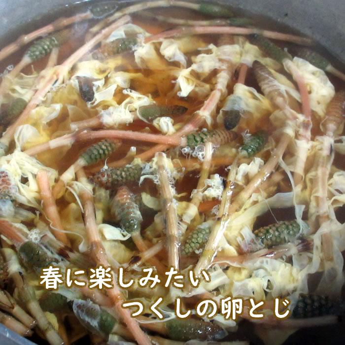 つくし 土筆 180g 山菜 野草 山形県産 /クール便 : 庄内米産直店 土門
