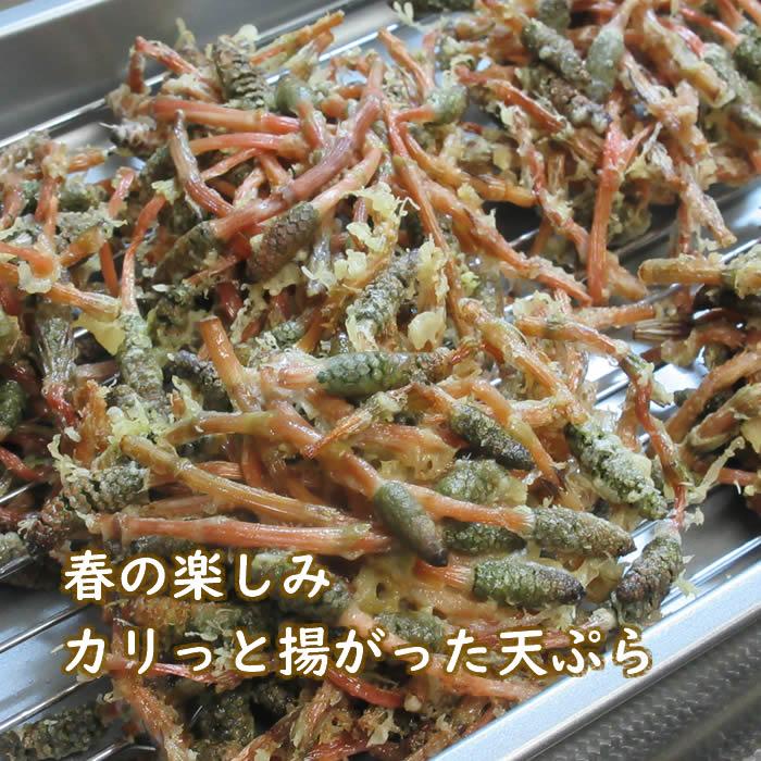 つくし 土筆 180g 山菜 野草 山形県産 /クール便 : 庄内米産直店 つくし 土筆 180g 山菜 野草 山形県産 /クール便 : 庄内米産直店