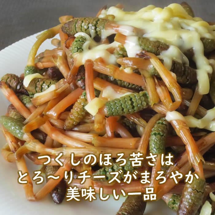 つくし 土筆 180g 山菜 野草 山形県産 /クール便 : 庄内米産直店 土門