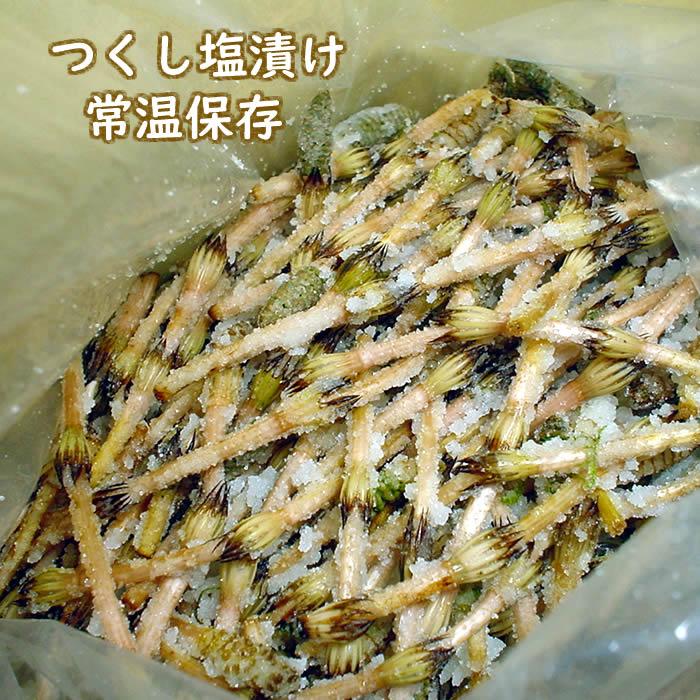 つくし 土筆 180g 山菜 野草 山形県産 /クール便 : 庄内米産直店 つくし 土筆 180g 山菜 野草 山形県産 /クール便 : 庄内米産直店