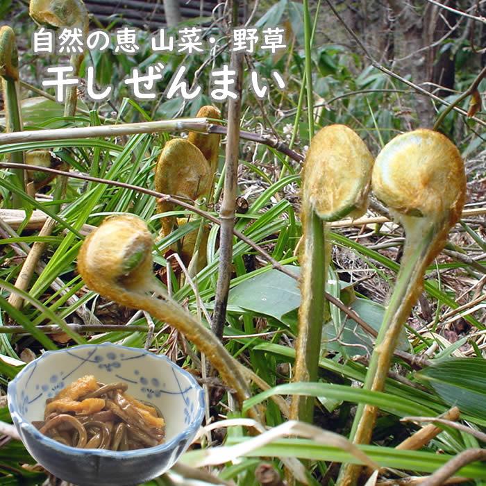 干しぜんまい 1kg 山菜 野草 山形県産 : 庄内米産直店 土門商店 干しぜんまい 1kg 山菜 野草 山形県産 : 庄内米産直店 土門商店