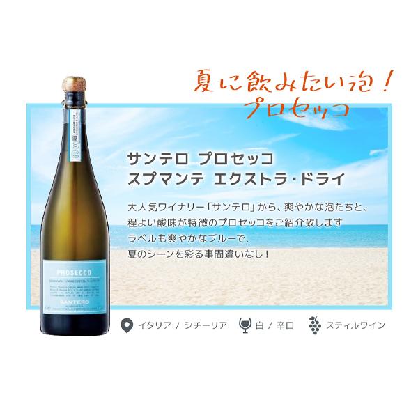 夏に飲みたい爽やかワイン6本セット （750ml×6本）[白ワイン